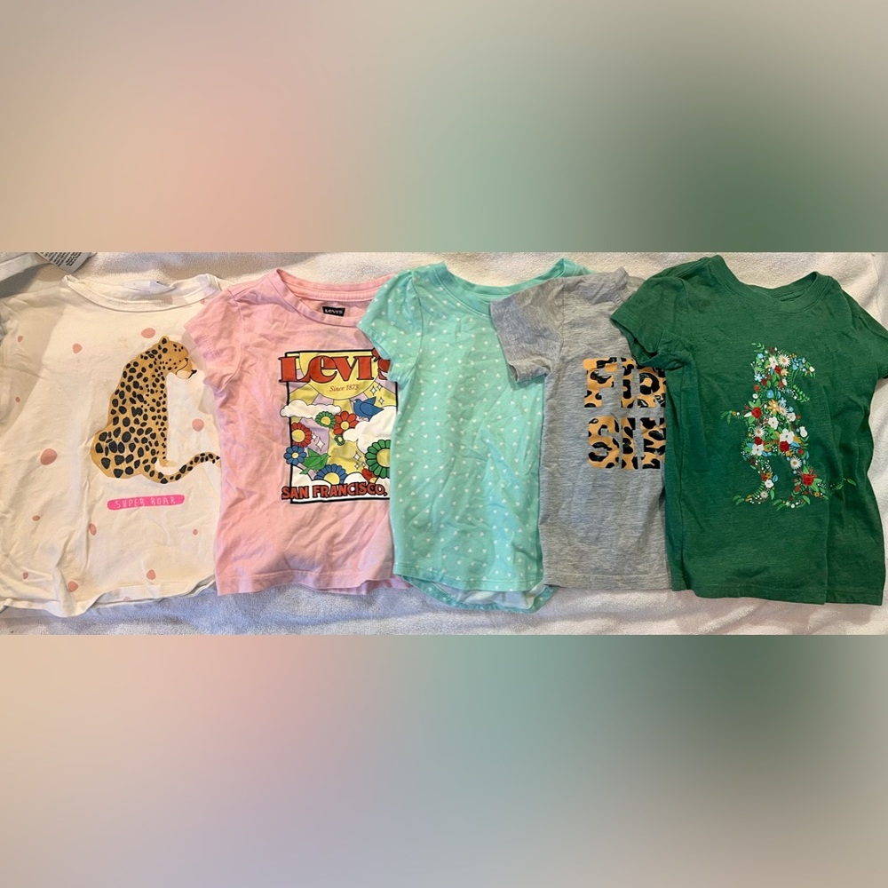 Bundle of 5 toddler girl T shirts size 2-3T